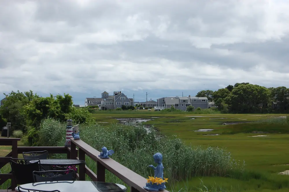 Salt marsh under a cloudy sky