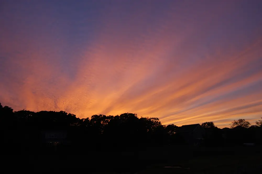 Sunset over the marsh